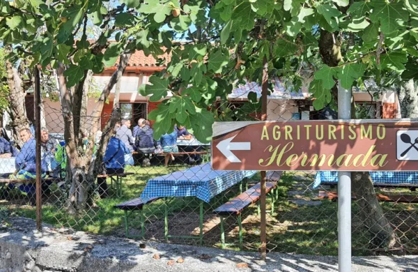 Turistične kmetije in osmice zlasti v gorskih in na območjih s 
težjimi pogoji pomagajo ohranjati kmetijstvo.