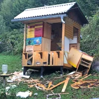 Konec septembra je medved v dveh predelih na robu Idrije uničil 
dva čebelnjaka in pojedel med iz razbitih panjev.