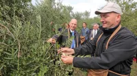 V imenitni družbi županov in predstavnikov diplomatskega zbora 
je bil prva “baliga” današnjega tradicionalnega obiranja Oljke 
županov, oljke zaupanja minister dr. Jože Podgoršek.