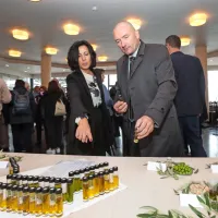 Tradicionalna otvoritev sezone obiranja oljk je priložnost za 
pogovor o letini in o kakovosti oljčnega olja. 