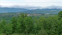 Agrarna skupnost Križ je dobila nacionalizirana zemljišča vrnjena šele leta 2010 in jih do takrat ni mogla 
uporabljati.
