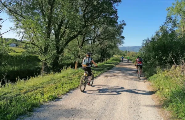 Občani si želijo  razvoj turizma. Tematska pot  od izvira Vipave do 
Mirna, ki poteka tudi po občini Renče-Vogrsko, bo verjetno  
zanimiva tako za domačega kot tujega gosta.