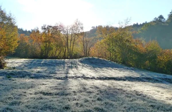 Posledice za jutri napovedane slane bo zelo verjetno opaziti  na 
jesenskem cvetju, v  nevarnosti so lahko tudi zelenjadnice, na 
primer plodovke, ki so ponekod še na vrtovih.