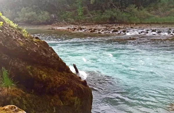 Za leseni kol, ki je bil zagozden ob skali, se je 11-letnik zataknil s 
kajakaško varovalno opremo, kar je bilo zanj usodno.