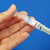 Letošnje cepivo je, podobno kot že lansko, štirivalentno in naj bi 
bilo kos kar štirim različnim sevom gripe, saj nihče ne ve, kateri 
sevi vse se bodo pojavili po lanskem zatišju.  