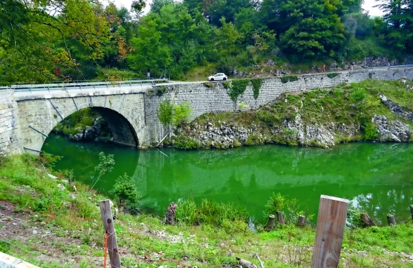 Med predlogi za participativni proračun je tudi ureditev Rakove 
pohodne poti od mostu čez Reko pri Škofljah do Dujčevega mlina 
v Zavrhku.