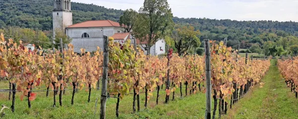 Kraševci s pobudo Mesec kraške kuhinje vabijo na celovito 
doživetje jesenskega Krasa.