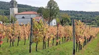 Kraševci s pobudo Mesec kraške kuhinje vabijo na celovito 
doživetje jesenskega Krasa.