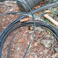 Kraševcem so miši pojedle internet