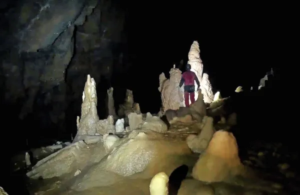  Jama skriva od kakor cevčic tankih stalaktitov in krepkih stalagmitov do skrivnostnih rovov.