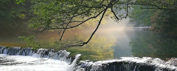 Sanje razkrivajo veliko več, kot se zdi na prvi pogled.