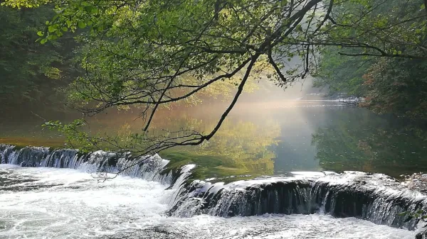 Sanje razkrivajo veliko več, kot se zdi na prvi pogled.