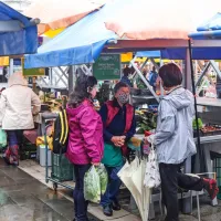 Najemniki stojnic na koprski tržnici si že več let želijo, da bi odprti 
del pokrili z nadstreškom.

