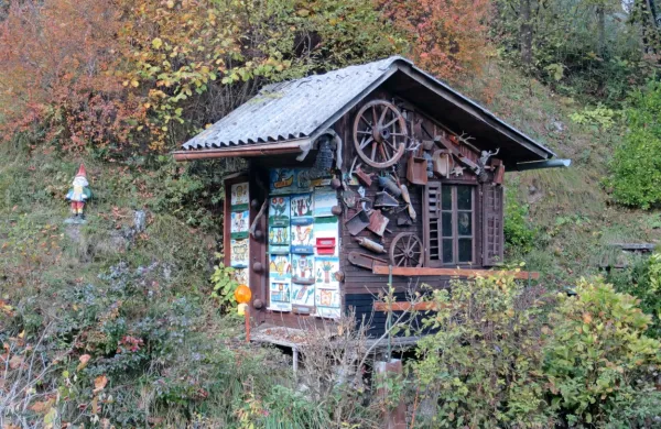 Pri Mavričevih je medved poškodoval le en panj, ki so ga takoj 
nadomestili. 