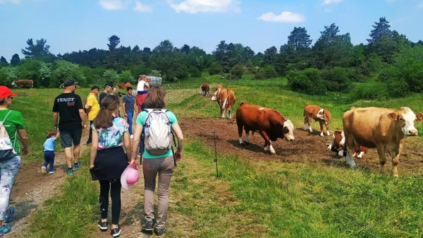 SONARAVNO KMETIJSTVO, VIR ZDRAVE HRANE IN OHRANJANJA OKOLJA