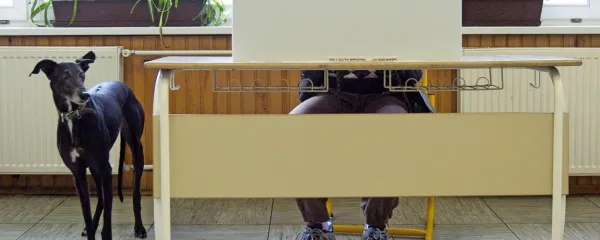 Utegne se zgoditi, da bomo prihodnje leto na volišču kar 
petkrat.