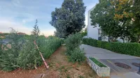 Kolopark so obdali z živo mejo