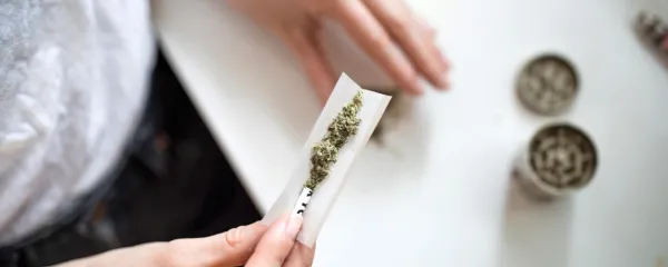 Številne  študije kažejo, da so nasilna dejanja bistveno pogostejša 
med uživalci marihuane kot med alkoholiki.