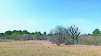 Na Krasu so zemljišča agrarnih skupnosti v veliko primerih gmajne 
in nerodovitne površine, a v preteklosti so je vsak košček zemlje 
izkazal za pomembnega. Bo tako tudi v prihodnosti?