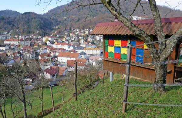 Čebelnjak Martina Kolenca v eni od idrijskih ulic, izpred katerega 
je Franciju Pelhanu medvedko uspelo odgnati. Na bližnjem 
pomičnem pa je  uničila “le” en panj.