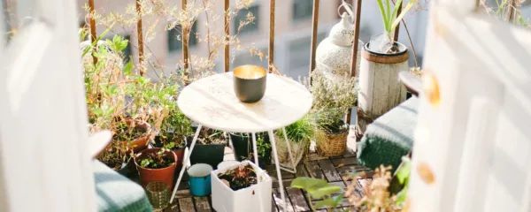 Balkon lahko živi vse dni v letu. 
