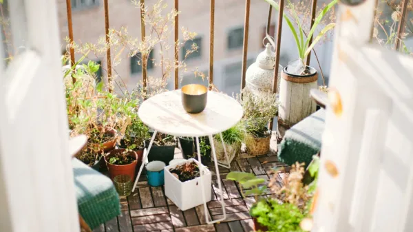Balkon lahko živi vse dni v letu. 