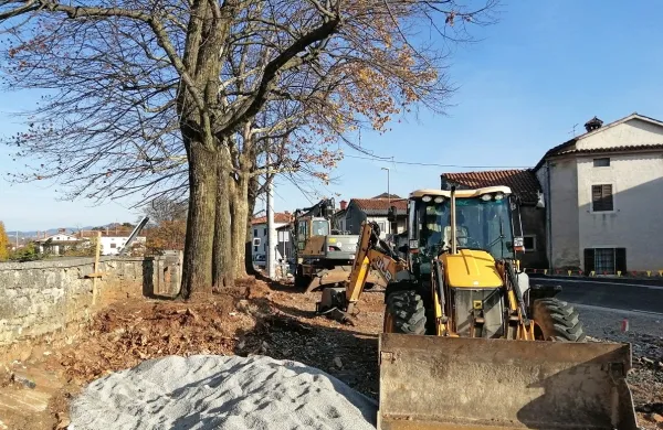 V  dutovski civilni pobudi se bojijo, da so z najnovejšimi posegi poškodovali tudi korenine lip.