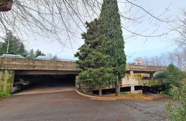  

Občina bo obnovila garažo na Markovcu in jo predala v upravljanje 
Marjetici.

