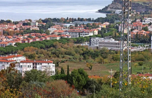 Kot vse kaže, bodo odkopali bujno rastje in  zemljo ter  pogledali, kaj se skriva v nekdanjem kamnolomu.  