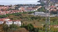 Kot vse kaže, bodo odkopali bujno rastje in  zemljo ter  pogledali, kaj se skriva v nekdanjem kamnolomu.  