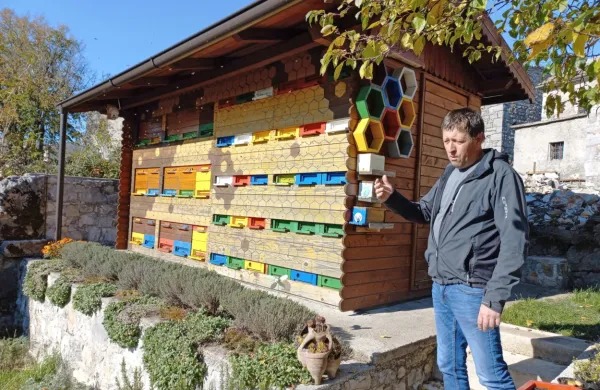 Čebelar Aleksander Primc opozarja, da pozeba ni odnesla le dobršnega dela pridelka medu, ampak je upočasnila razvoj čebeljih družin, kar bodo 
čebelarji občutili šele prihodnje leto. 