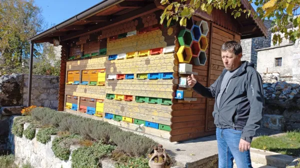 Čebelar Aleksander Primc opozarja, da pozeba ni odnesla le dobršnega dela pridelka medu, ampak je upočasnila razvoj čebeljih družin, kar bodo 
čebelarji občutili šele prihodnje leto. 
