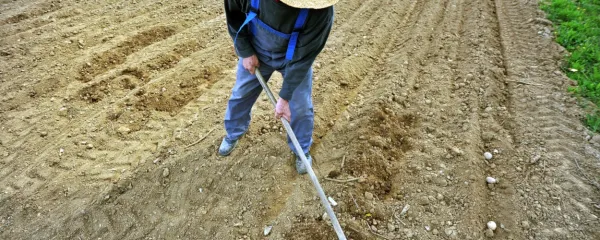 V Ljubljani in Bruslju pripravljajo načrt podporam kmetijstvu po letu 2023.