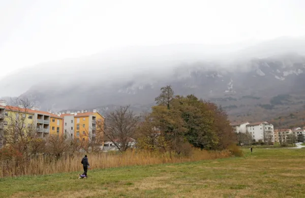 Občina je za 2. december najavila javno dražbo zemljišč na 
območju Ribnik SBII, kjer se načrtuje  gradnja štirih  blokov. 