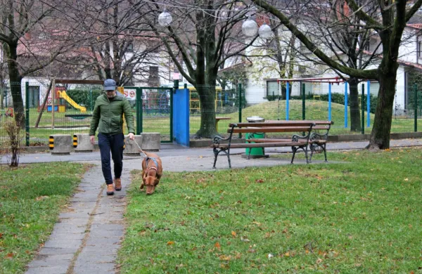 Ajdovski lastniki psov bodo na sprehodu ob Hublju od pomladi 
lahko zavili tudi v pasji park.