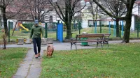 Ajdovski lastniki psov bodo na sprehodu ob Hublju od pomladi 
lahko zavili tudi v pasji park.
