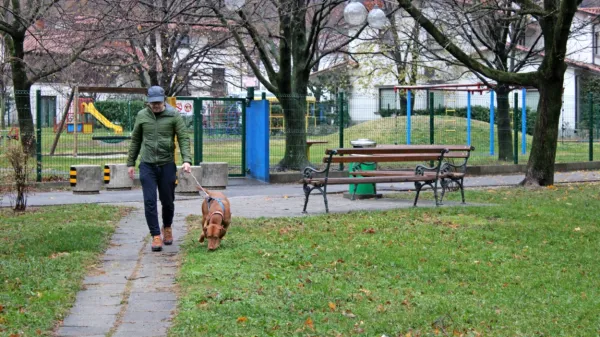 Ajdovski lastniki psov bodo na sprehodu ob Hublju od pomladi 
lahko zavili tudi v pasji park.