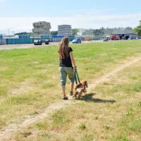 V Novi Gorici naj bi pasji park ob Kolodvorski cesti začeli 
postavljati februarja prihodnje leto.