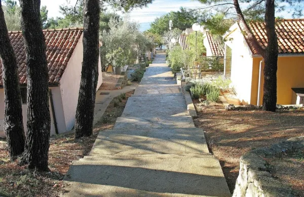 V počitniškem naselju Stara Gavza na Cresu (stoji v bližini kampa 
Kovačine) Primorje v stečaju prodaja še 33 počitniških hiš. Jutri jih 
bo na dražbi še pet.