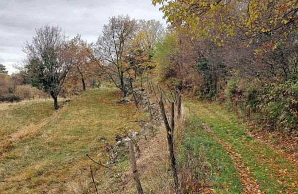 Med terase bo vodila urejena pešpot. 