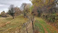 Med terase bo vodila urejena pešpot. 