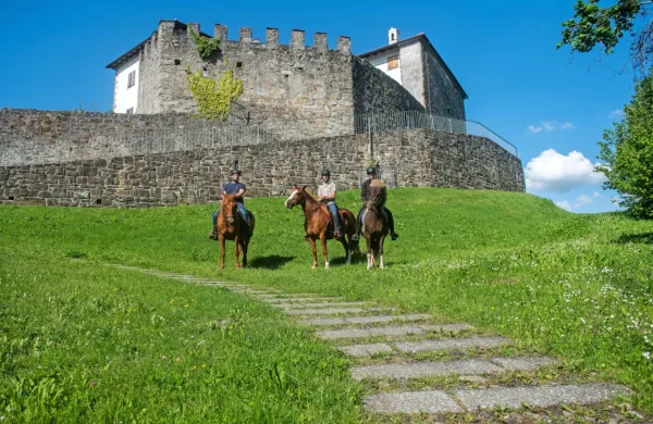 Turisti si  želijo posebnih doživetij, mednje sodi tudi konjeniški turizem.