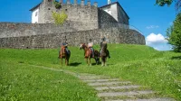 Turisti si  želijo posebnih doživetij, mednje sodi tudi konjeniški turizem.
