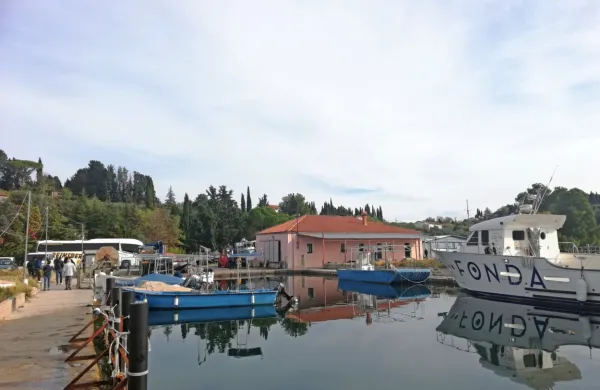 Kmalu bo na voljo evropski denar, namenjen prenovi ribiških 
pristanišč. Da to na rtu Seče potrebuje obnovo, se strinjajo 
mnogi. 