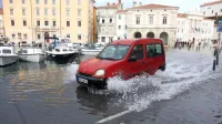 Novembra 2019 v Piranu najpogostejši  prizor 
