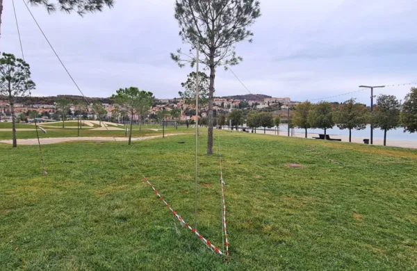 Park je tako rekoč prepreden s krajšimi in daljšimi vrvmi, s 
katerimi so privezali mlada drevesa.