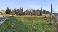 Območje  med Cesto na Markovec, Tomšičevo ulico in strugo 
Badaševice v Olmu bodo spremenili v družinski park.
