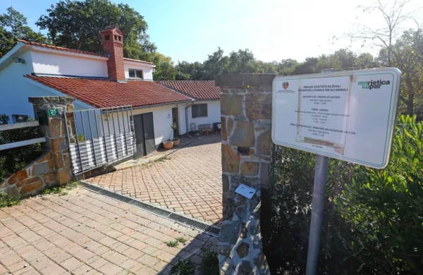 Obalno zavetišče za zapuščene živali