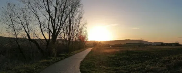  Od starega leta se bomo poslovili s skoraj pomladnimi temperaturami.  