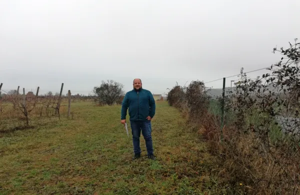 Desno od Kristjana Božiča je hitra cesta Koper-Izola, levo zadaj so 
njegove trte. 